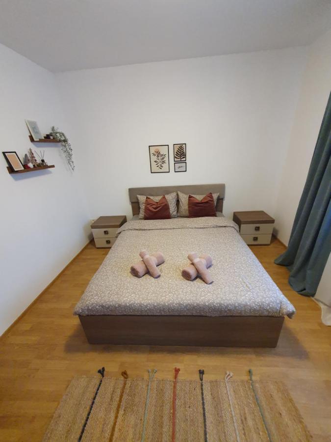 Apartament La Casa In Curte Comuna Apartment Codlea Ngoại thất bức ảnh